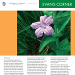 Evan's Corner August 2013