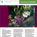 Evan's Corner December 2013