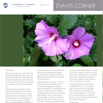 Evan's Corner February 2013