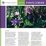 Evan's Corner January 2016