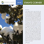 Evan's Corner May 2015