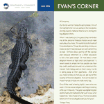 Evan's Corner May 2014